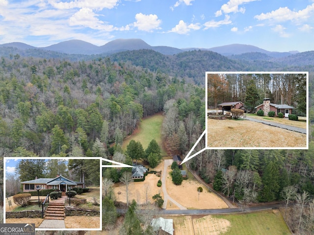 aerial view with a forest view and a mountain view