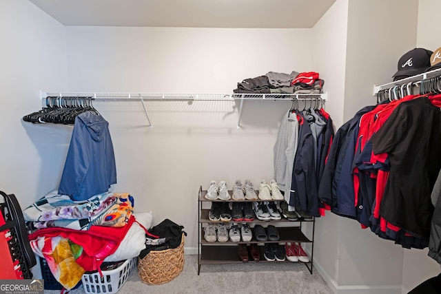 spacious closet featuring carpet flooring