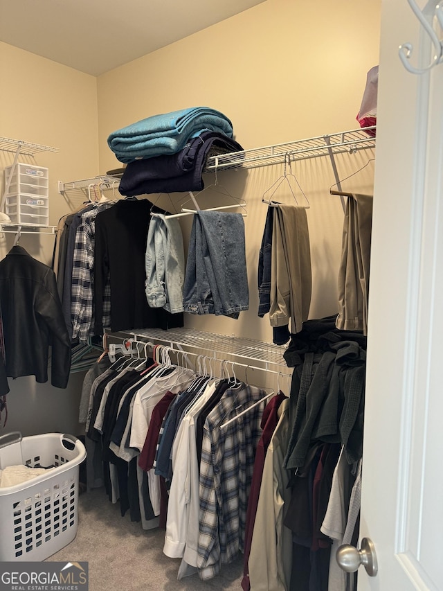 spacious closet featuring carpet