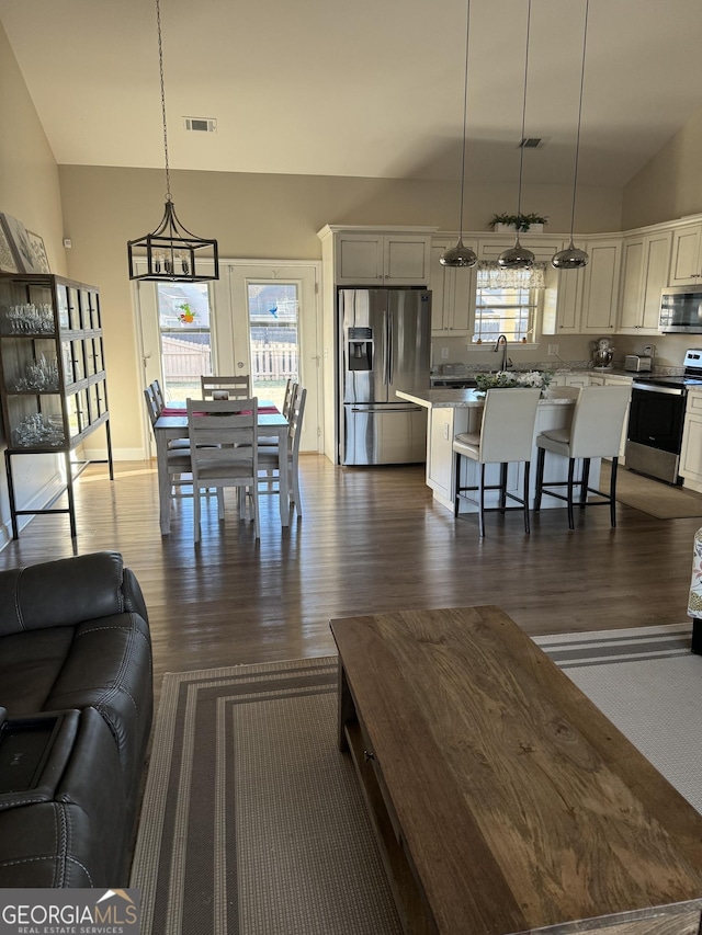 living area featuring a healthy amount of sunlight, dark wood finished floors, and visible vents