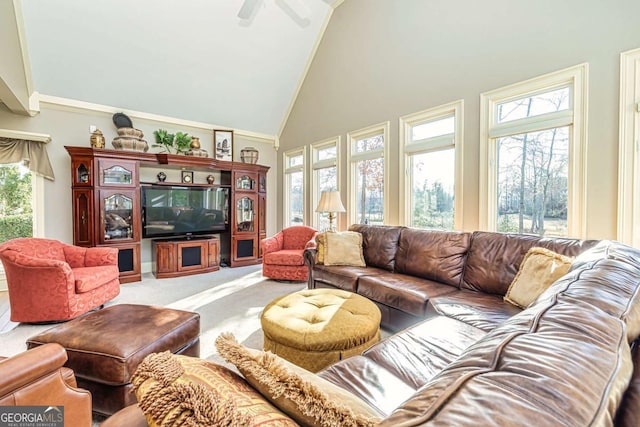 carpeted living room with high vaulted ceiling