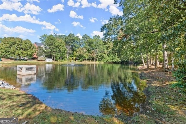 view of water feature