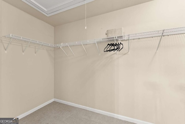 spacious closet featuring attic access and carpet flooring