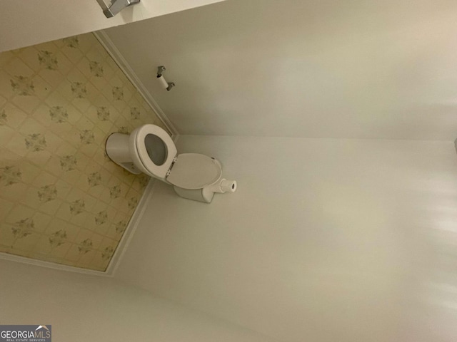 bathroom featuring lofted ceiling and toilet