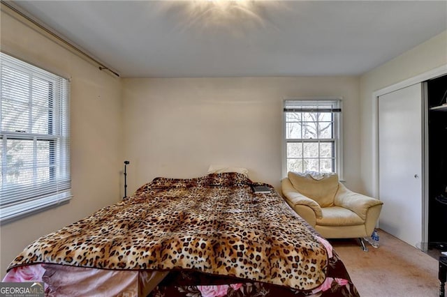 bedroom with carpet and a closet