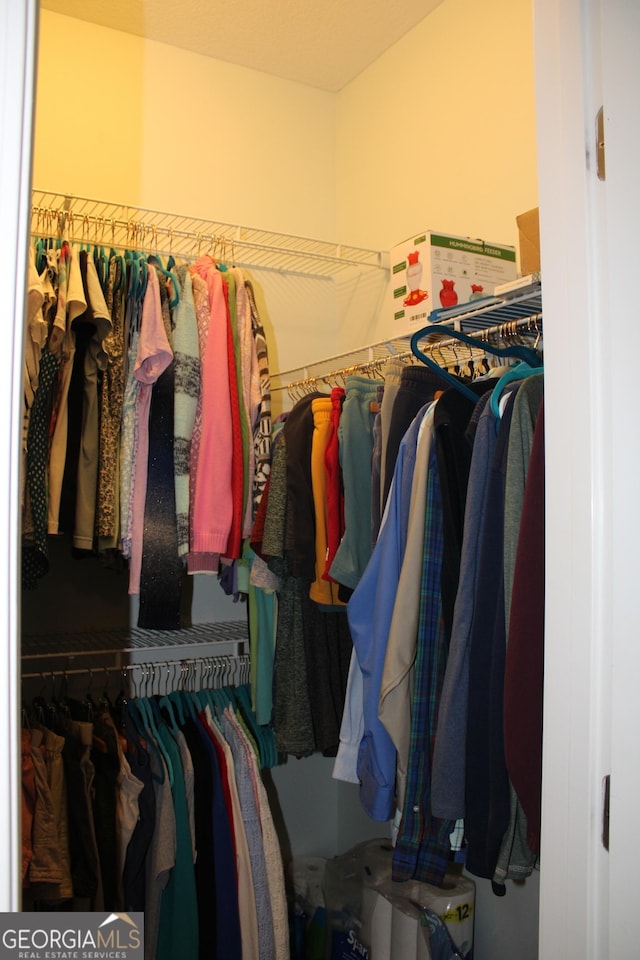 view of walk in closet