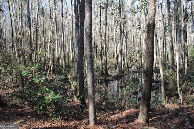 view of nature featuring a view of trees