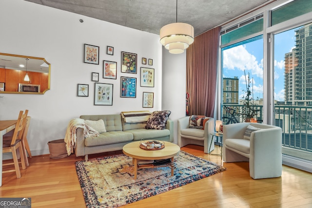 living room featuring baseboards and wood finished floors