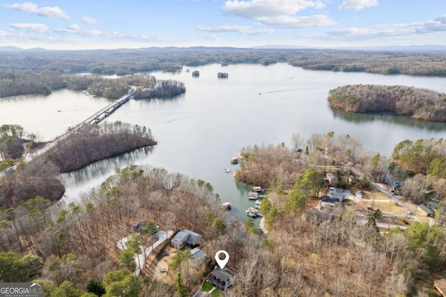 aerial view with a forest view and a water view