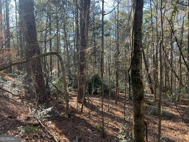 Listing photo 3 for 000 Woodland Rd, Thomaston GA 30286