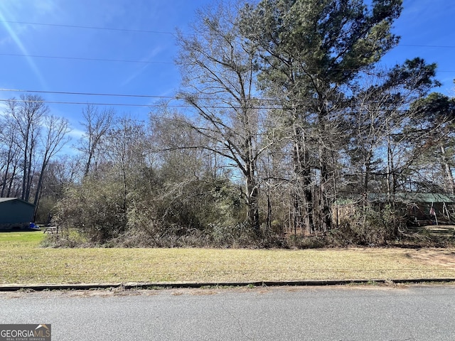 131 Bradley Cir, Barnesville GA, 30204 land for sale