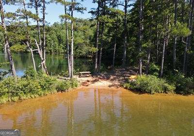 water view featuring a forest view