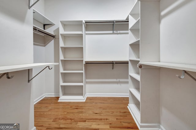 spacious closet featuring light wood finished floors