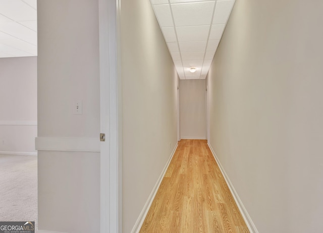 corridor featuring light wood-style floors, a drop ceiling, and baseboards