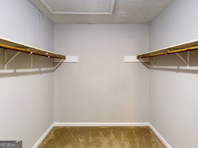 walk in closet with carpet floors