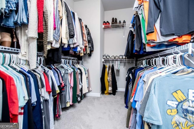 spacious closet featuring carpet flooring