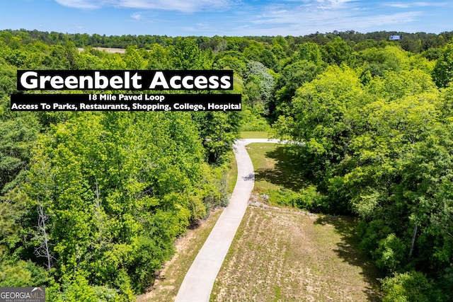 drone / aerial view of a forest
