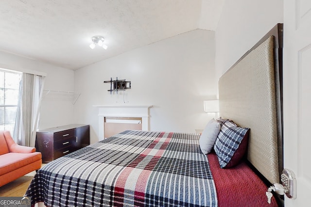 bedroom with lofted ceiling