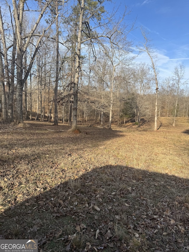 0 Walthal, Jackson GA, 30233 land for sale