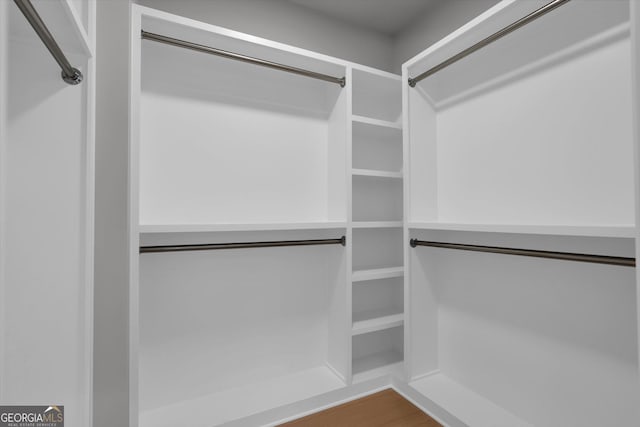 spacious closet featuring wood finished floors