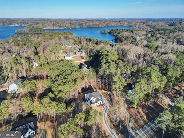 bird's eye view featuring a forest view and a water view