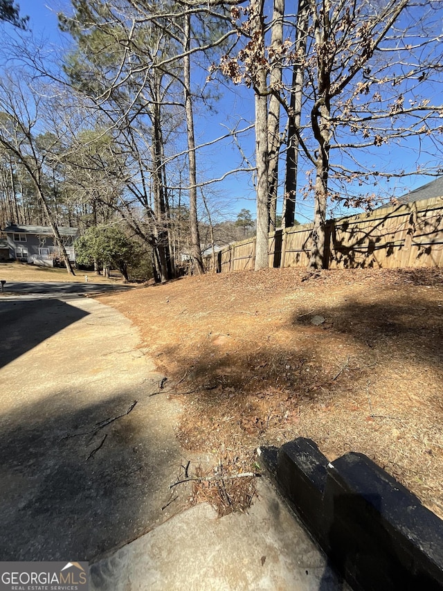3630 High Point Ln SW, Atlanta, GA 30331 - view of yard