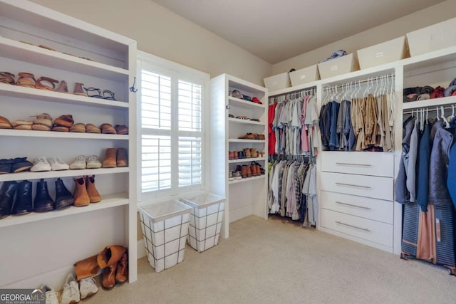 walk in closet featuring light colored carpet