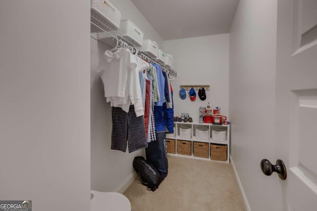 walk in closet with carpet flooring