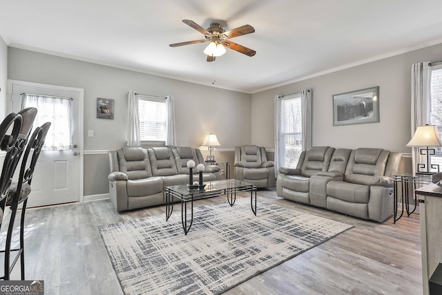 living room featuring ornamental molding, a healthy amount of sunlight, ceiling fan, and light wood finished floors