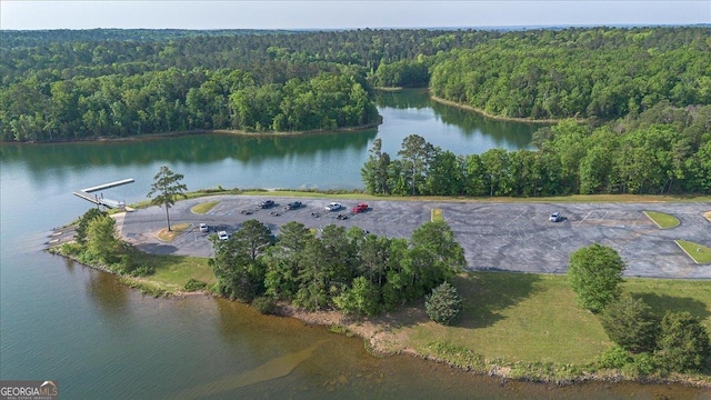 bird's eye view with a water view and a forest view
