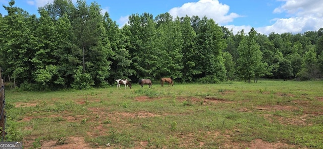 view of nature with a rural view