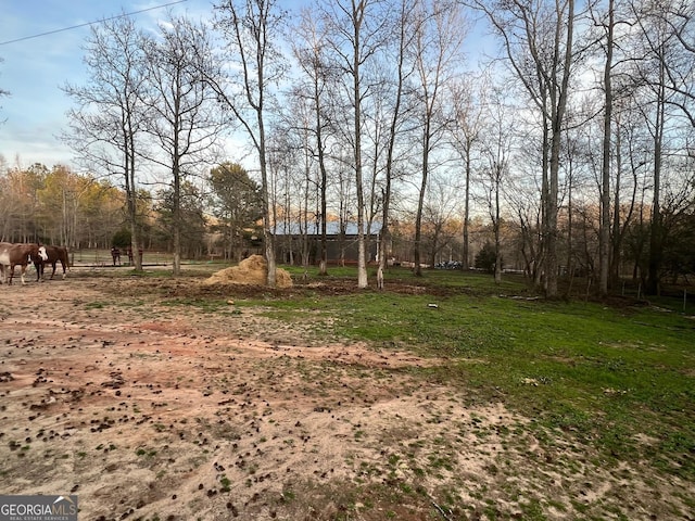 view of yard with a rural view