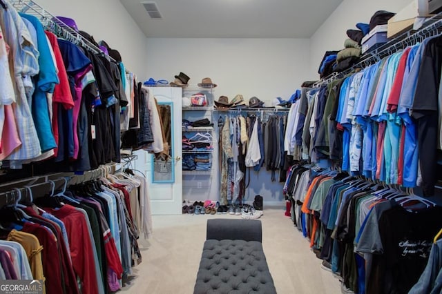 8910 Champion Ct, Ball Ground, GA 30107 - spacious closet with carpet
