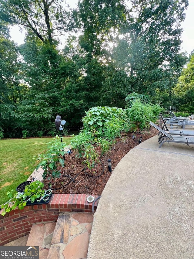 8910 Champion Ct, Ball Ground, GA 30107 - view of green lawn with a patio