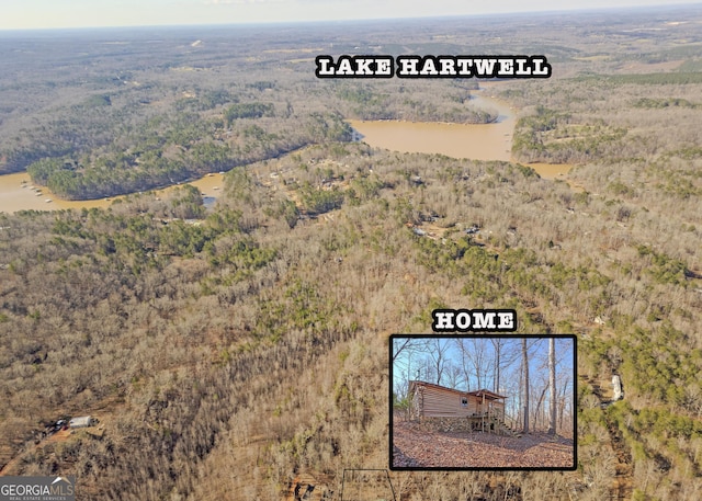 346 Old Seven Forks Rd, Martin, GA 30557 - aerial view with a forest view