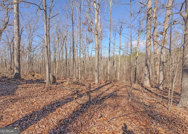 346 Old Seven Forks Rd, Martin, GA 30557 - view of nature featuring a forest view