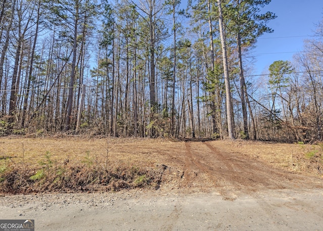 346 Old Seven Forks Rd, Martin, GA 30557 - view of nature