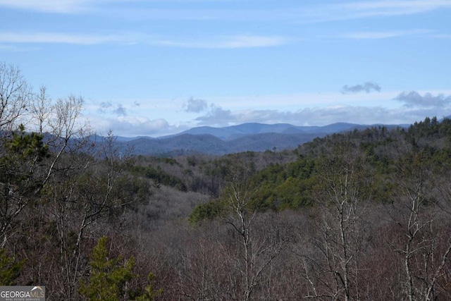 view of mountain feature with a forest view