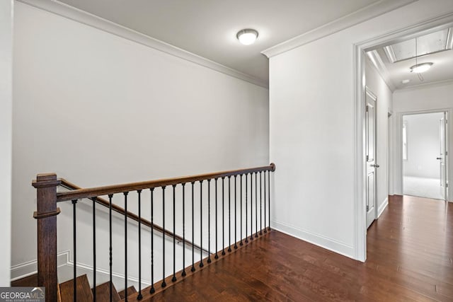 corridor featuring attic access, ornamental molding, and wood finished floors