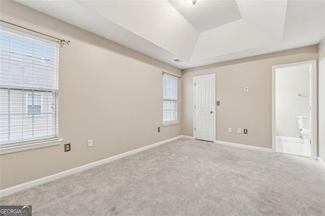 spare room featuring a healthy amount of sunlight, light carpet, and a tray ceiling