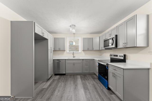 kitchen featuring stainless steel appliances, light countertops, gray cabinetry, light wood-style floors, and a sink