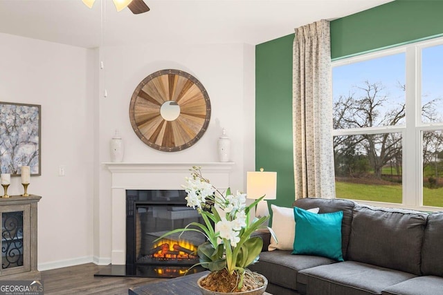 living room with baseboards, wood finished floors, a glass covered fireplace, and a healthy amount of sunlight