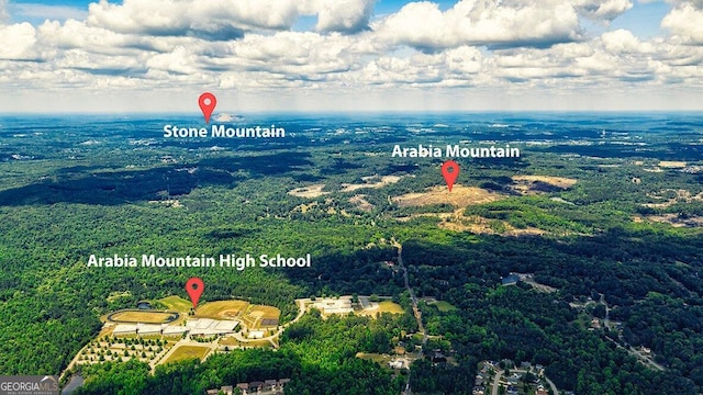 bird's eye view with a forest view