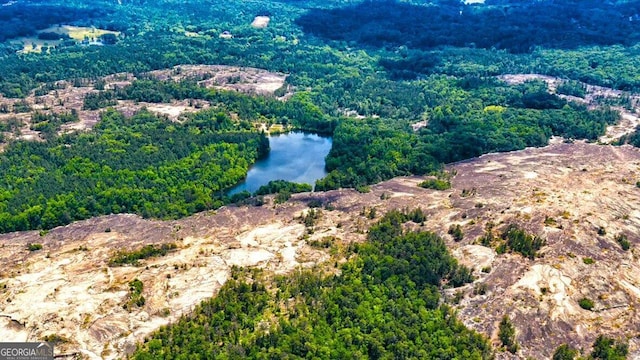 birds eye view of property featuring a water view and a wooded view