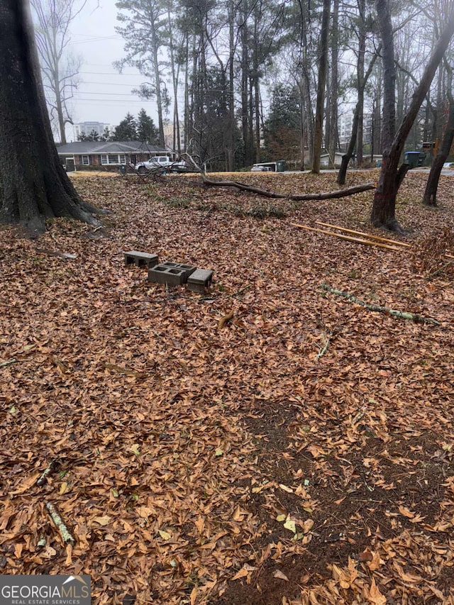 3518 Hamlin Cir, Atlanta, GA 30341 - view of yard