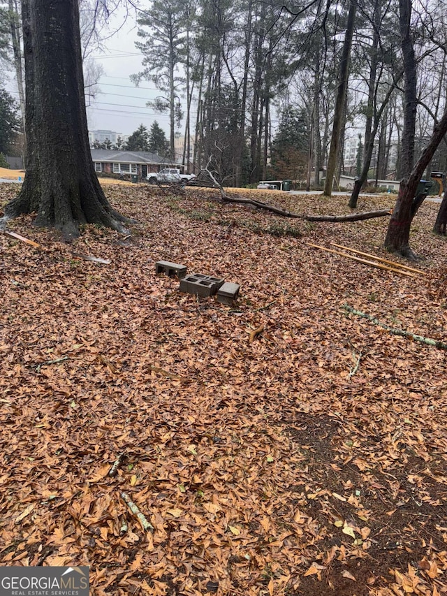 3518 Hamlin Cir, Atlanta, GA 30341 - view of yard