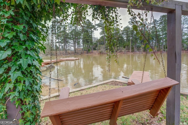 dock area with a water view