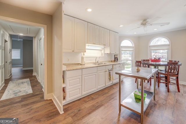 kitchen featuring wood finished floors, a sink, white cabinetry, light countertops, and tasteful backsplash