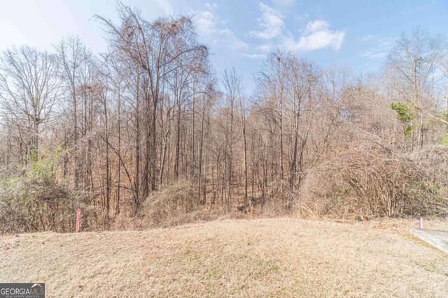 3788 Stone Creek Ct, Gainesville, GA 30507