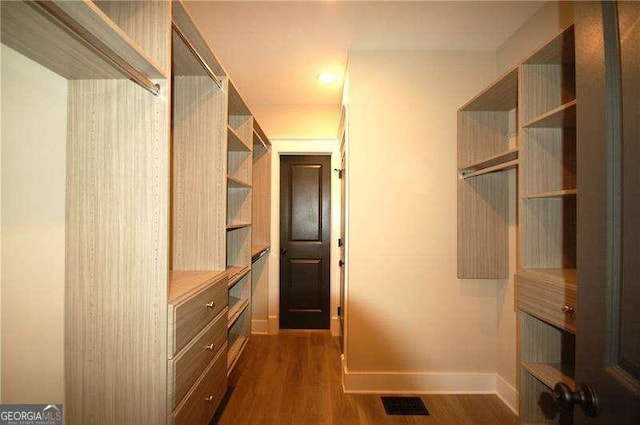 spacious closet featuring dark wood-style flooring